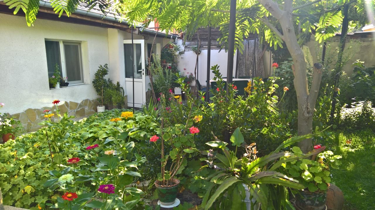 Гостевой дом Nenkovi Guest house Трявна