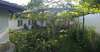 Гостевой дом Nenkovi Guest house Трявна-7